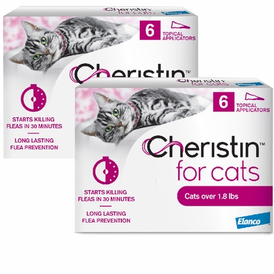 Single package of Cheristin topical flea treatment for cats