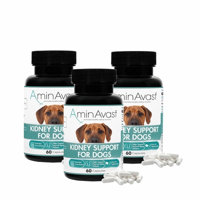 AMINAVAST-DOGS-180-CAPSULES