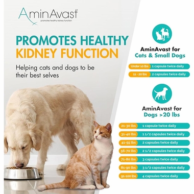 AMINAVAST-CATS-180-CAPSULES