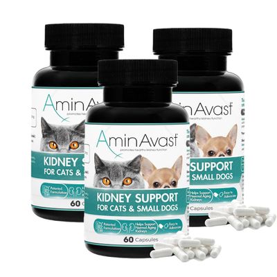 AMINAVAST-CATS-180-CAPSULES
