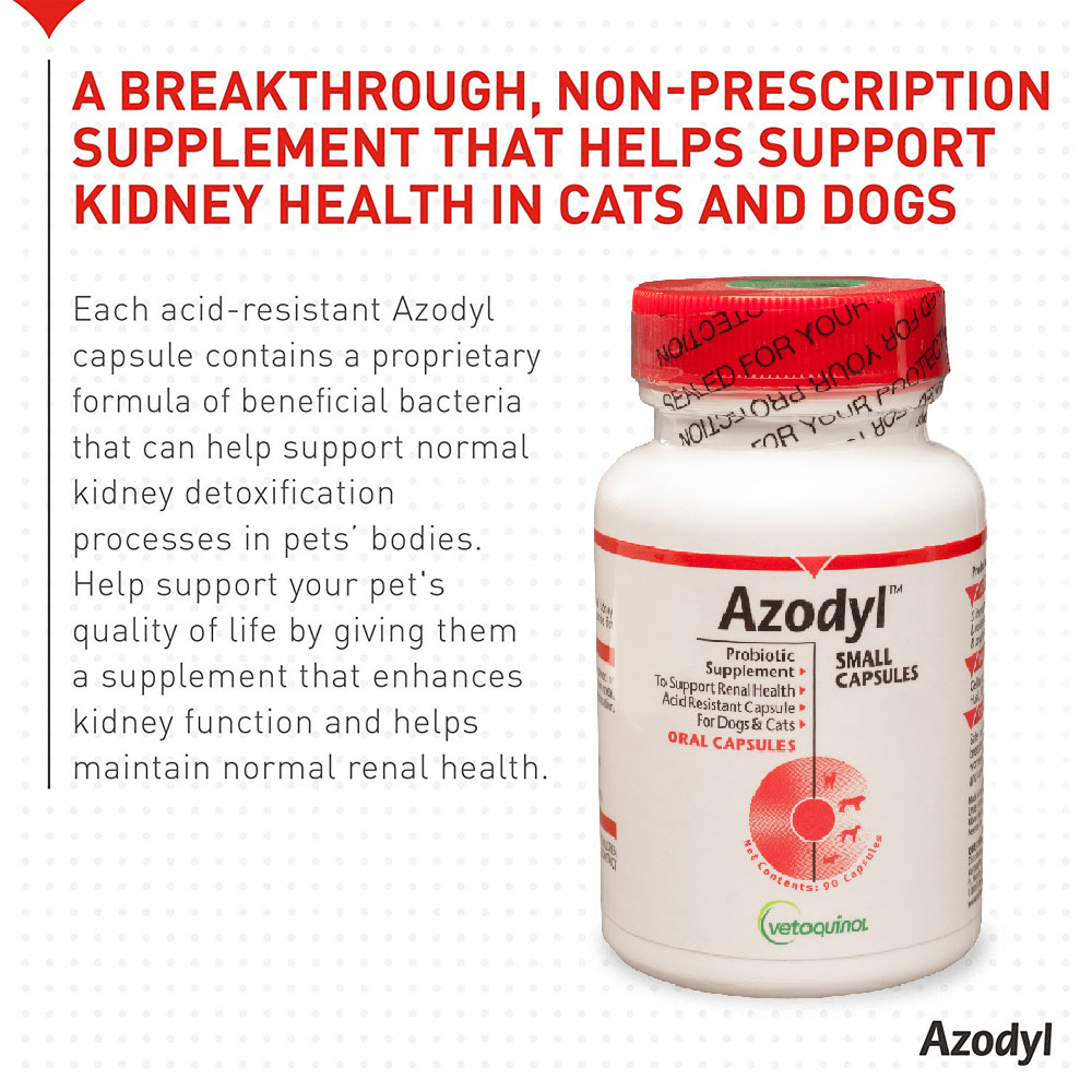 Oversized image of sealed bottle next to image of cocker spaniel and gray cat laying down under list of benefits