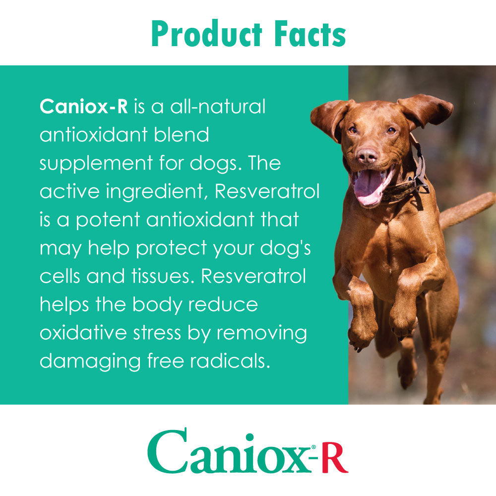 CANIOXRPK3