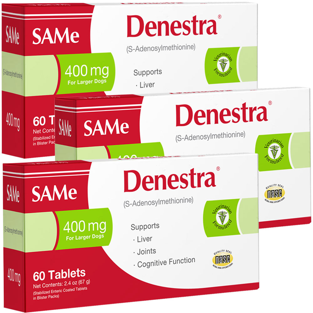 DENESTRA-400MG-3PACK