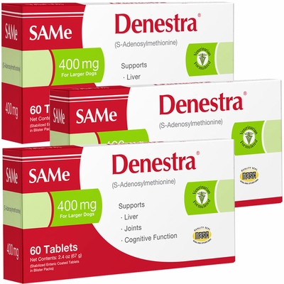 DENESTRA-400MG-3PACK
