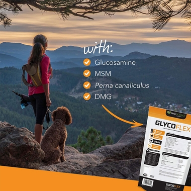 3GLYCOFLEX3