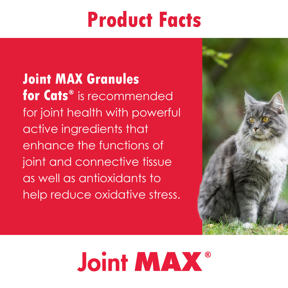 JMCATGRANULES3PCK