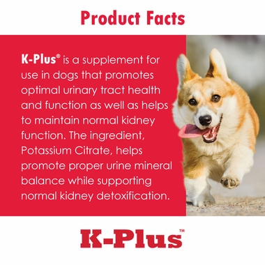 K-PLUS-POTASSIUM-CITRATE-PLUS-CRANBERRY-900G-GRANULES