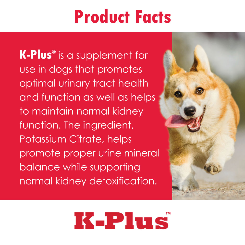 K-PLUS-POTASSIUM-CITRATE-PLUS-CRANBERRY-900G-GRANULES