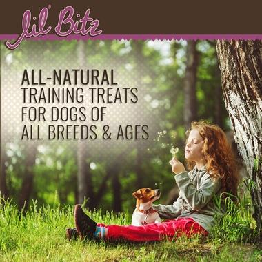 LIL-BITZ-ASSORTED