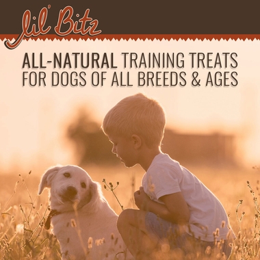 LIL-BITZ-HICKORY-BEEF-TREATS-3-PACK