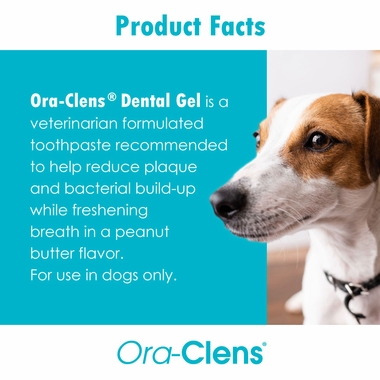 ORA-CLENS-TOOTHPASTE-9OZ