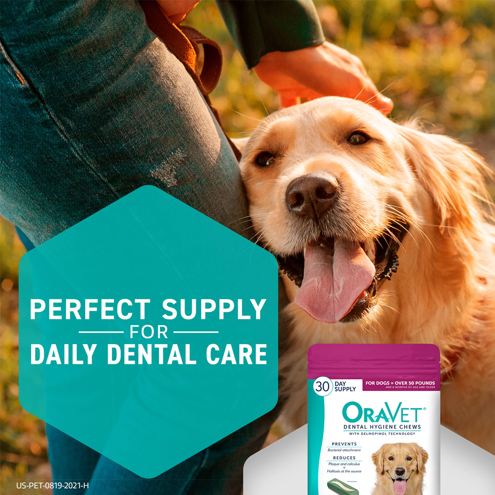 Front of package next to two dental chews