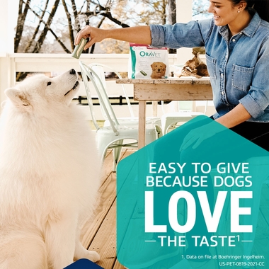 ORAVET-DENTAL-HYGIENE-CHEWS-LARGE-90-COUNT