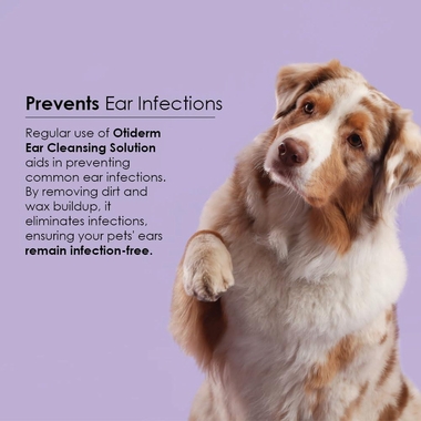 3OTIDERM