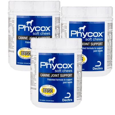 PHYCOXJSSFTCHW360