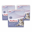3-PACK Proflora Probiotic for Cats (90 Servings)