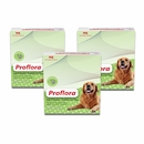 3-PACK Proflora Probiotic for Dogs (90 Servings)