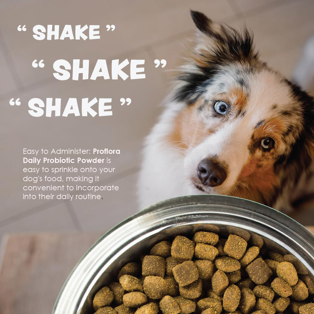 PROFLORA-PROBIOTIC-DOGS-90-SERVINGS