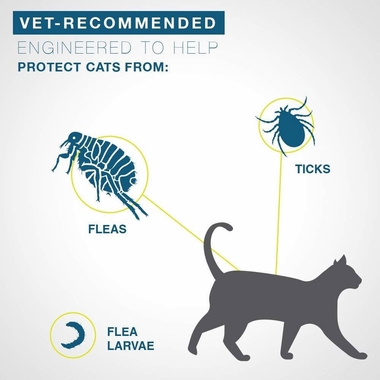 Cat silhouette with flea showing protection flow from collar