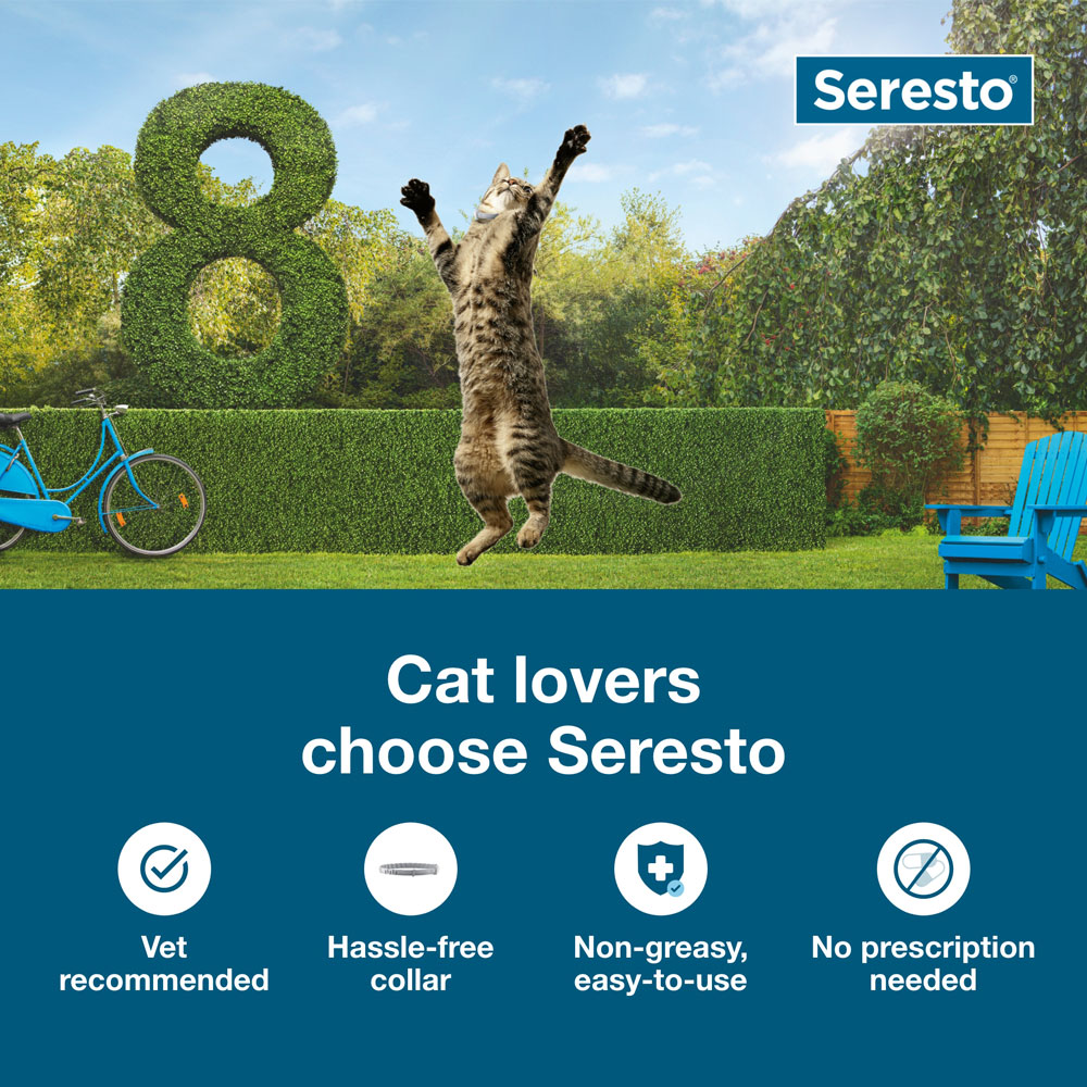 SERESTO-FLEACOLLAR-CATS-3-PACK