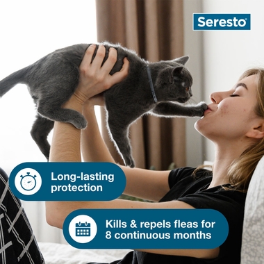 Cat silhouette connected to pictures of fleas and flea eggs
