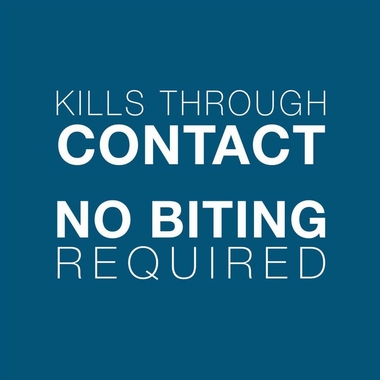 SERESTO-FLEACOLLAR-SMALL-DOGS-3-PACK