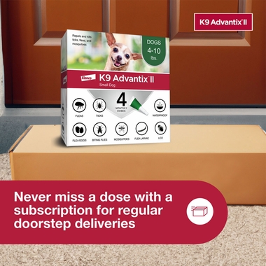 ADVANTIX-II-SMALL-DOGS-4-MONTHS-TAPEWORM