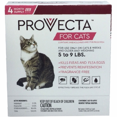 4-MONTH-PROVECTA-CATS