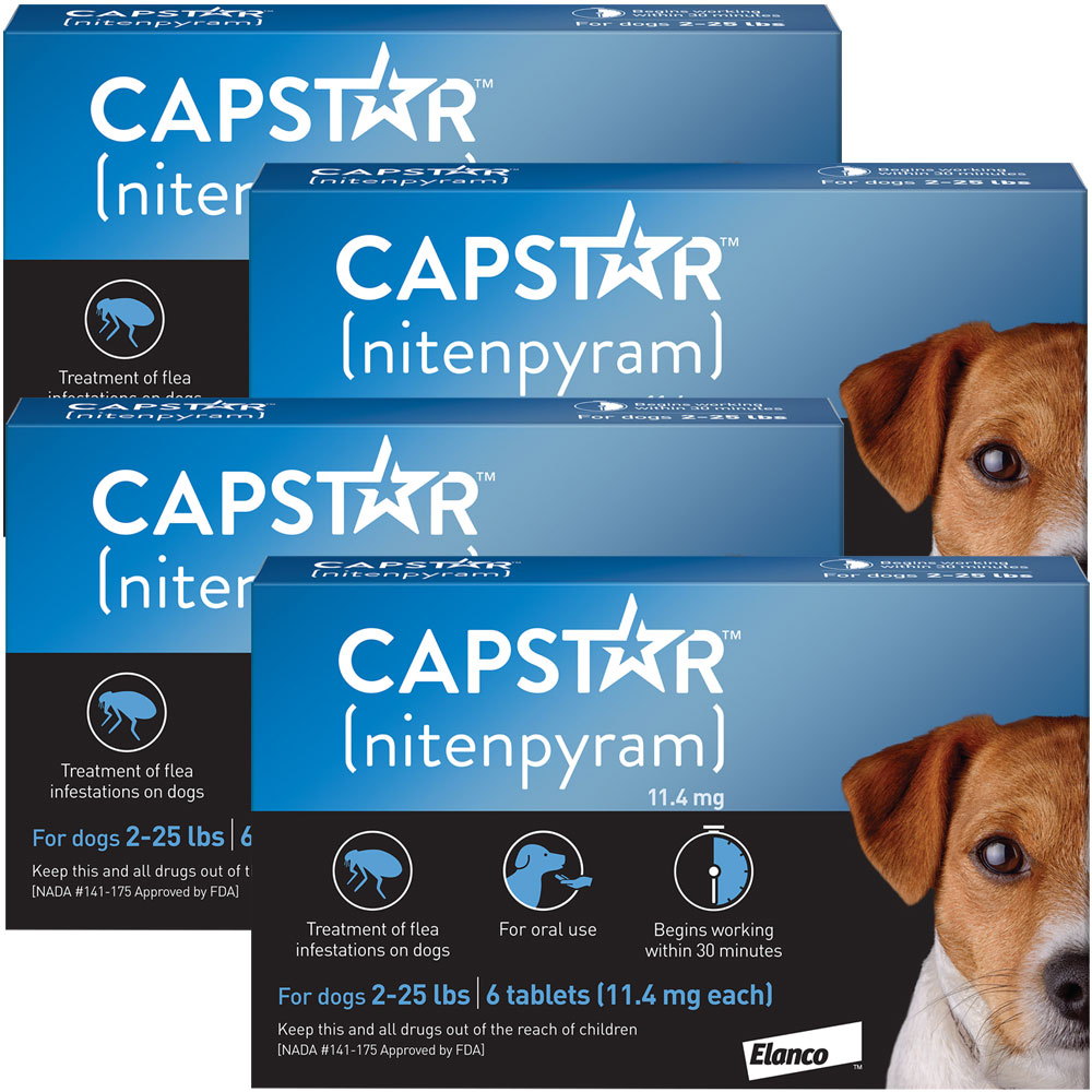 CAPSTAR (nitenpyram) FastActing Oral Flea Treatment For, 60 OFF