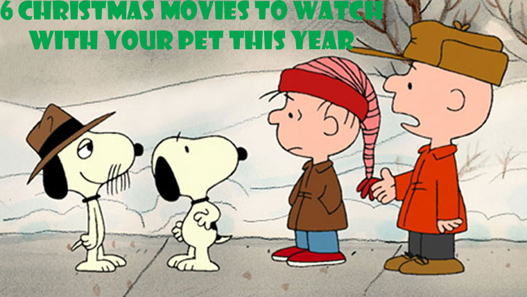 6 Christmas Movies To Watch with Your Pet This Holiday