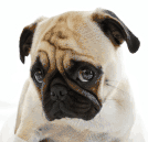 6 Great Products For Digestive Care