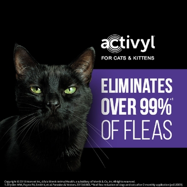 6-MONTH-ACTIVYL-SMALL-DOGS