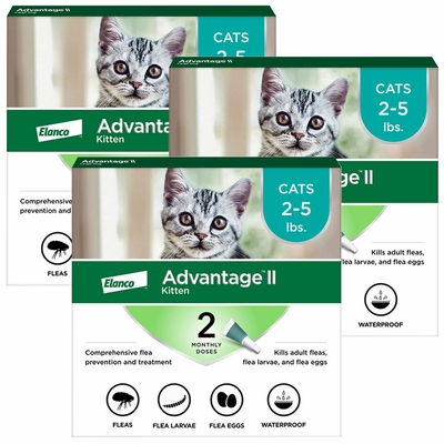 6-MONTH-ADVANTAGE-II-KITTENS