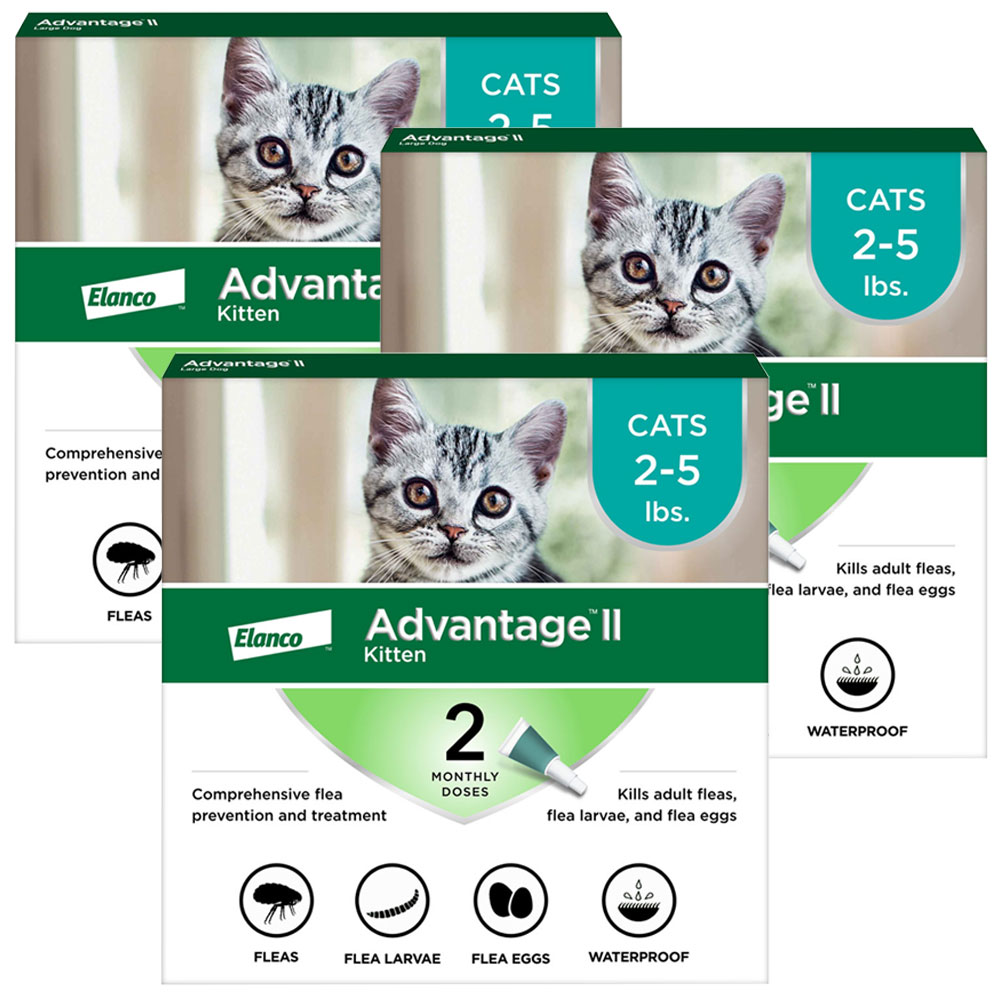 6-MONTH-ADVANTAGE-II-KITTENS