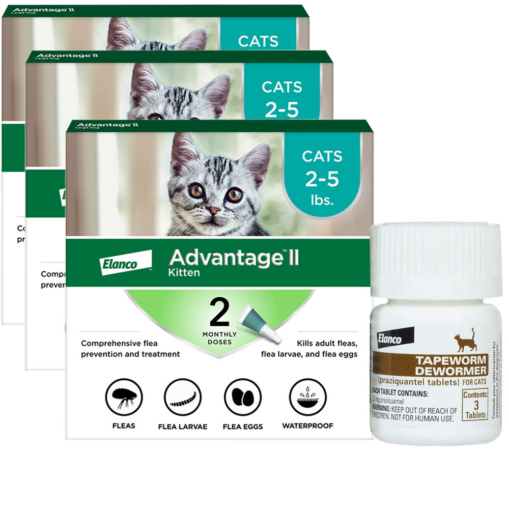 6-MONTH-ADVANTAGE-II-KITTENS-TAPEWORM