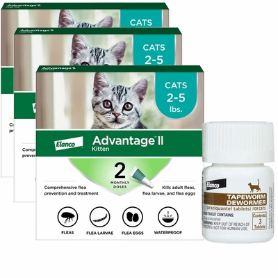 6-MONTH-ADVANTAGE-II-KITTENS-TAPEWORM