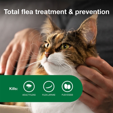 ADVANTAGE-II-LARGE-CATS-6-MONTHS-TAPEWORM