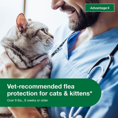 ADVANTAGE-II-LARGE-CATS-6-MONTHS-TAPEWORM