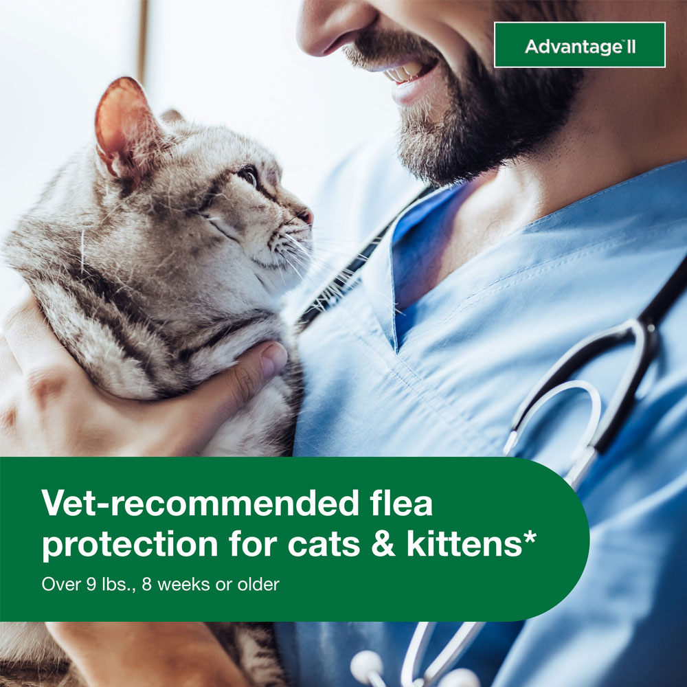 ADVANTAGE-II-LARGE-CATS-6-MONTHS-TAPEWORM