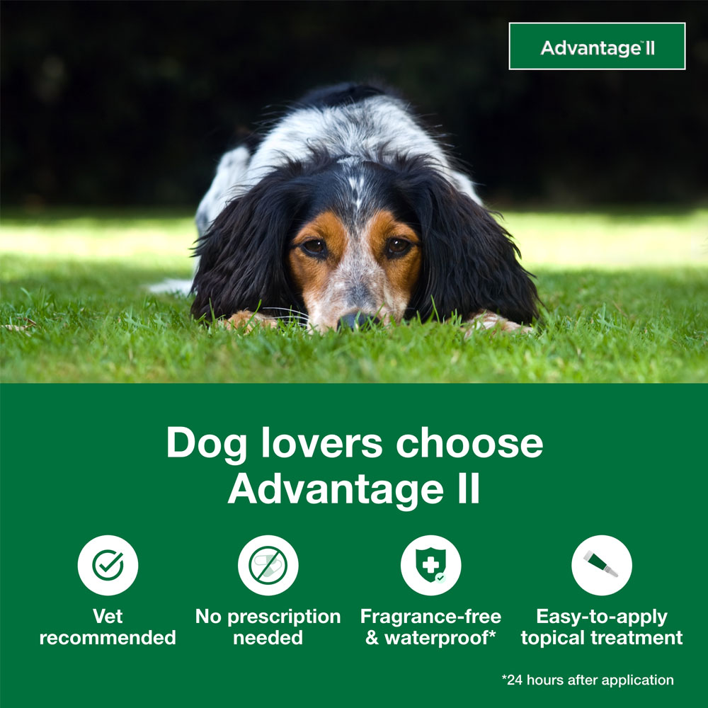 ADVANTAGE-II-MEDIUM-DOGS-6-MONTHS-TAPEWORM