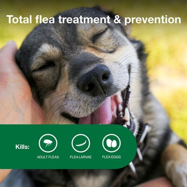 ADVANTAGE-II-MEDIUM-DOGS-6-MONTHS-TAPEWORM
