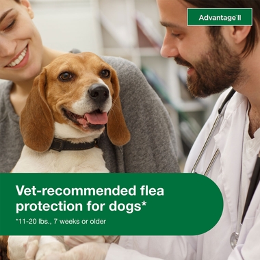 ADVANTAGE-II-MEDIUM-DOGS-6-MONTHS-TAPEWORM