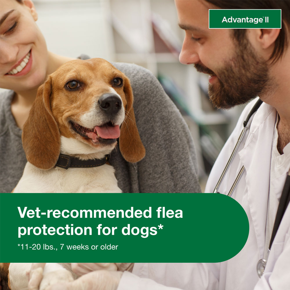 ADVANTAGE-II-MEDIUM-DOGS-6-MONTHS-TAPEWORM