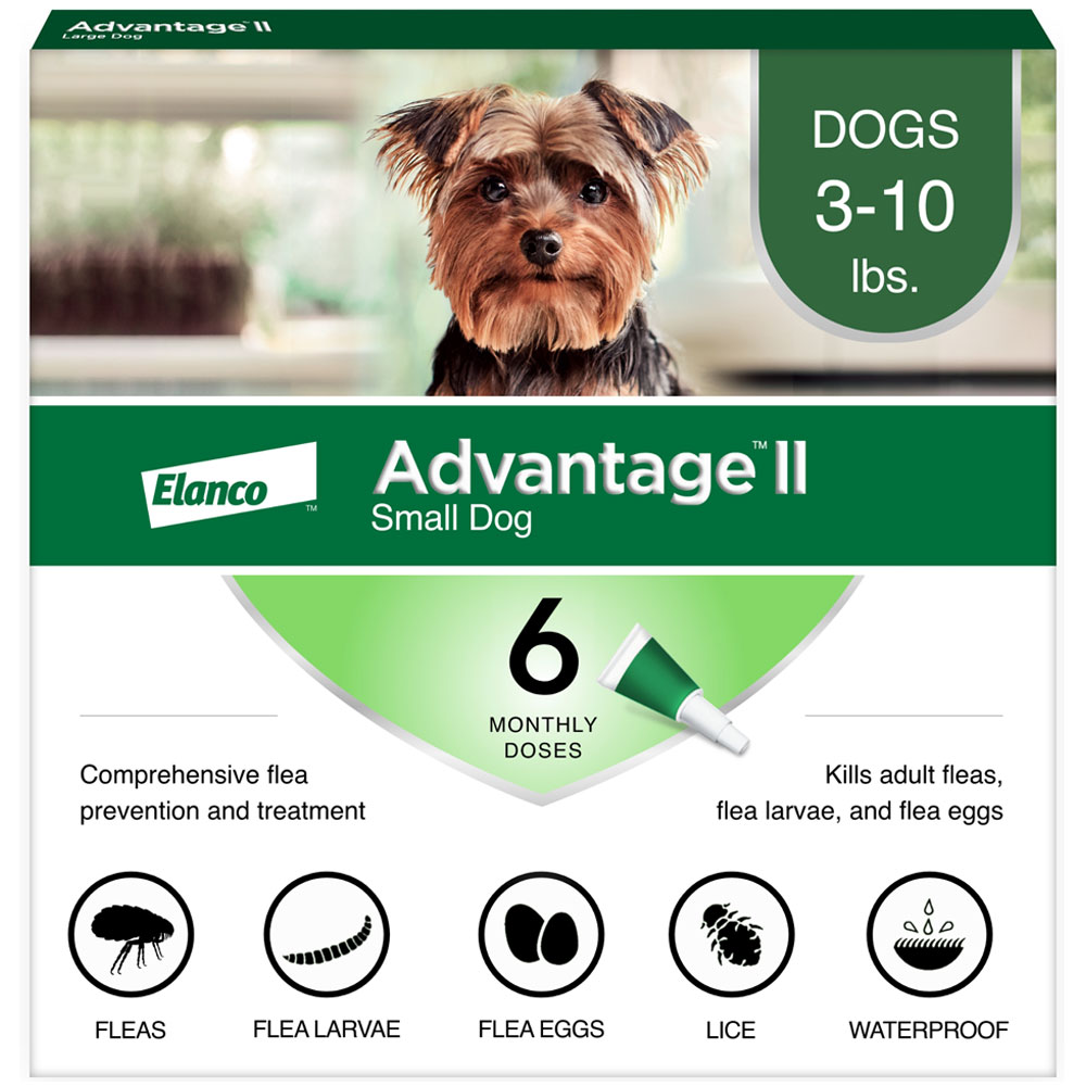 6 MONTH Advantage II Flea Control for Small Dogs (under 10 lbs)