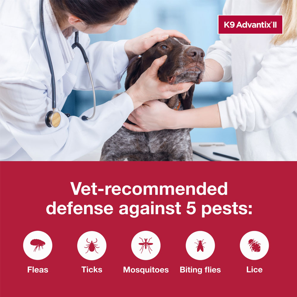 Banner reading frontline plus does not repel. K9 Advantix two kills and repels fleas, ticks, and mosquitoes above those three insects