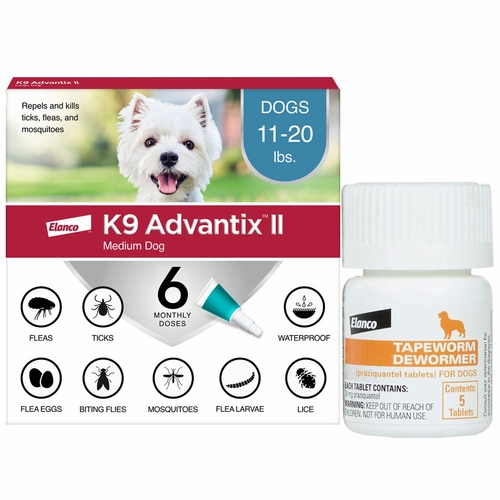 6-month-k9-advantix-ii-teal-