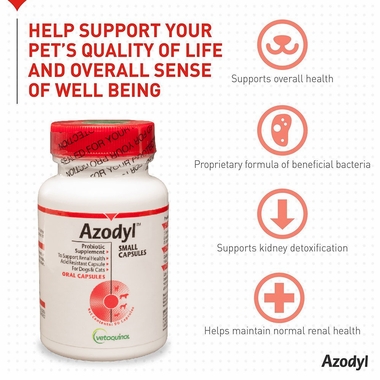 Sealed bottle next to summary stating proprietary formula of beneficial bactieria can help support kidney detoxification
