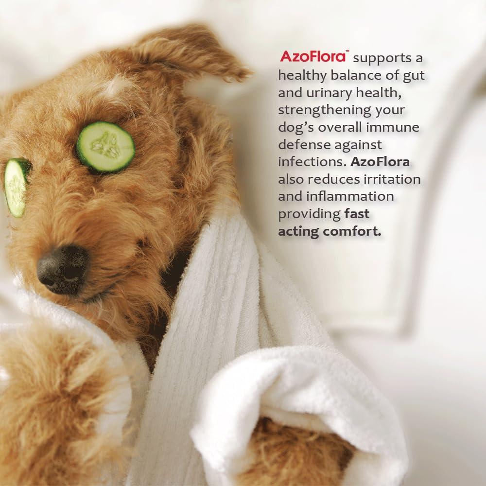 AZOFLORA-KIDNEY-SUPPORT-540-SOFT-CHEWS