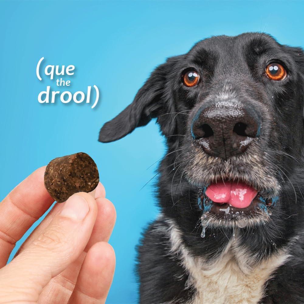 AZOFLORA-KIDNEY-SUPPORT-540-SOFT-CHEWS