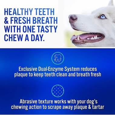 CET-CHEWS-LARGE-DOGS-180-COUNT